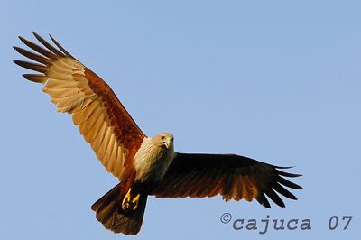 Dsc_7192.JPG
