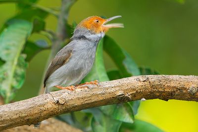 DSC_7303.jpg