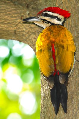 DSC_7530.jpg