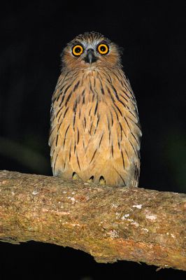 DSC_7960.jpg