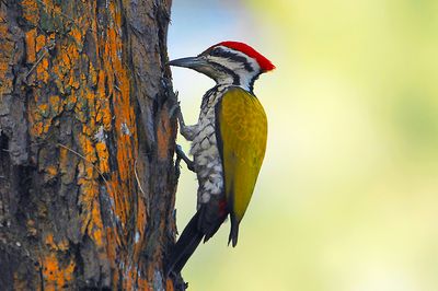 DSC_7744.jpg