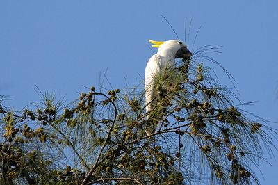 DSC_7759.jpg