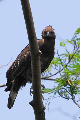 DSC_9670.jpg