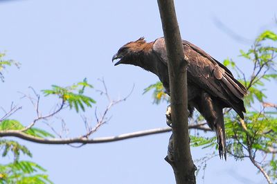 DSC_9672.jpg