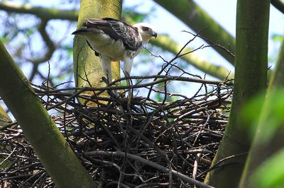 DSC_9680.jpg