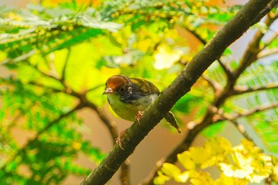 DSC_9619.jpg