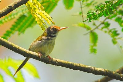 DSC_9635.jpg