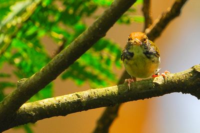 DSC_9625.jpg