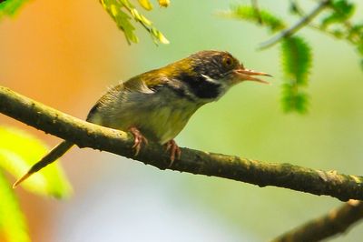 DSC_9648.jpg