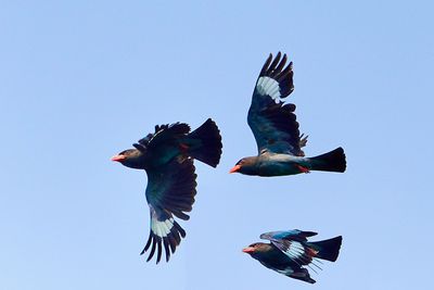 DSC_1272.jpg