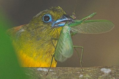 DSC_2846.jpg