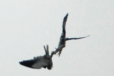 DSC_5847.jpg