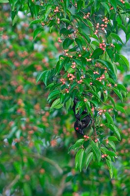 DSC_6166.jpg