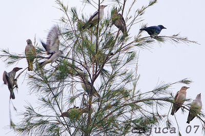 DSC_2012s.jpg