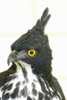 DSC_7079.jpg