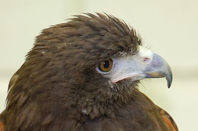 DSC_7101.jpg