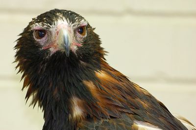 DSC_7118.jpg