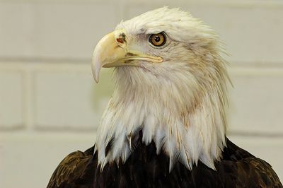 DSC_7124.jpg