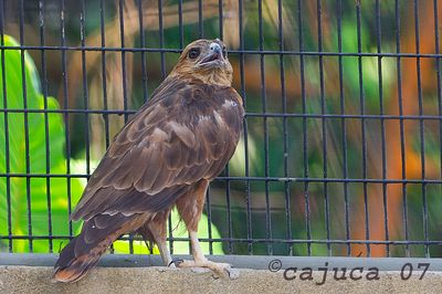 DSC_6837.jpg