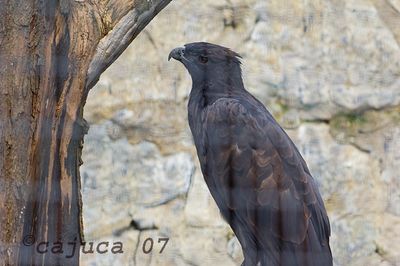 DSC_6821.jpg