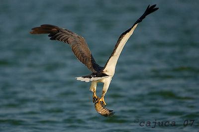 DSC_9255wb.jpg