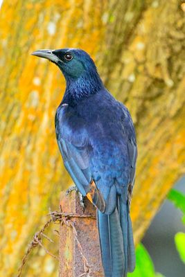 DSC_1391_filtered.jpg