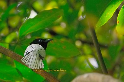 DSC_3851.jpg