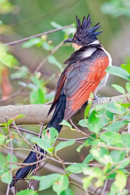 DSC_3028_DxO