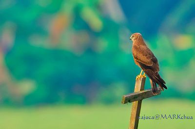 DSC_1679_filtered.jpg