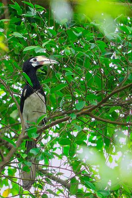 DSC_2555.jpg