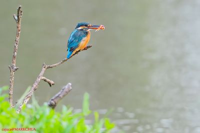 DSC_1054.jpg