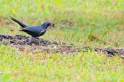 DSC_3837.jpg