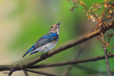 DSC_5154.jpg