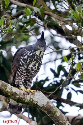DSC_6074.jpg