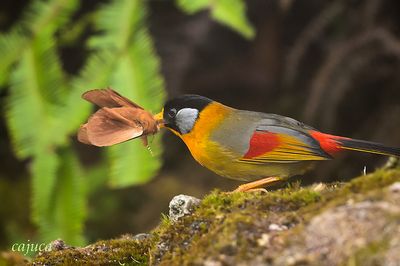 DSC_6328.jpg