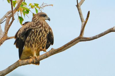 DSC_0444.jpg