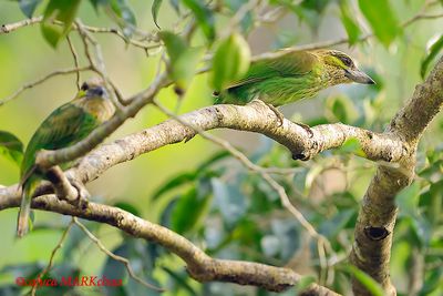 DSC_4058_filtered.jpg