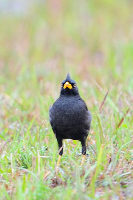 DSC_8910.jpg