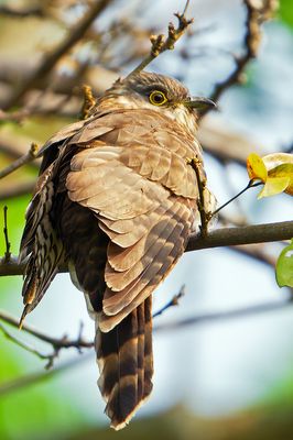 DSC_9061.jpg