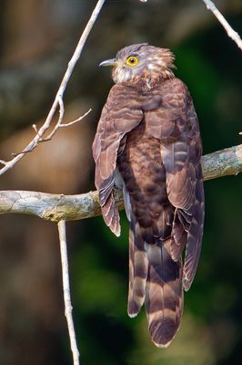 DSC_9135.jpg
