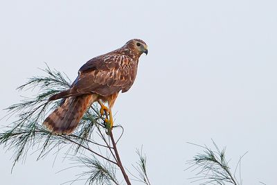 DSC_5565.jpg