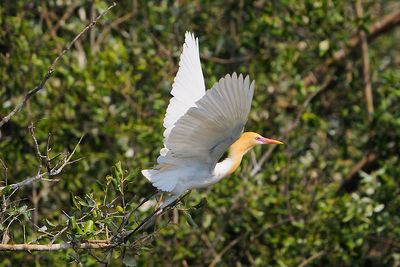 DSC_4640.jpg