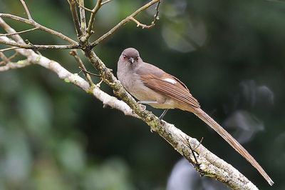 DSC_6818.jpg