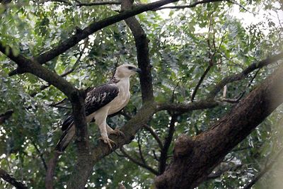 DSC_3554.jpg
