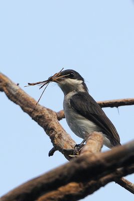 DSC_1304.jpg