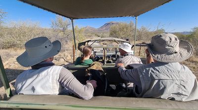 game drive