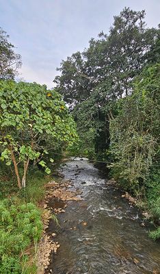 river