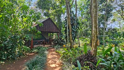 Kibale Forest Camp