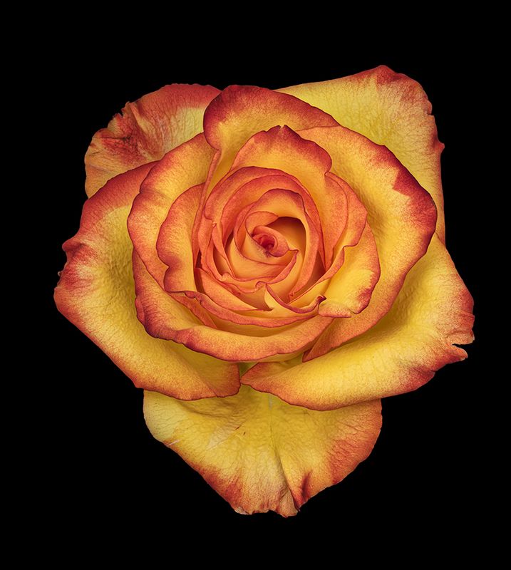 2022-11-11-02.16.17 ZS PMax_openWith.jpg