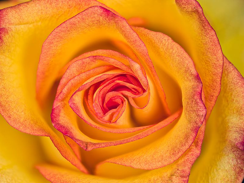 2022-11-12-01.04.28 ZS PMax_50_openWith.jpg